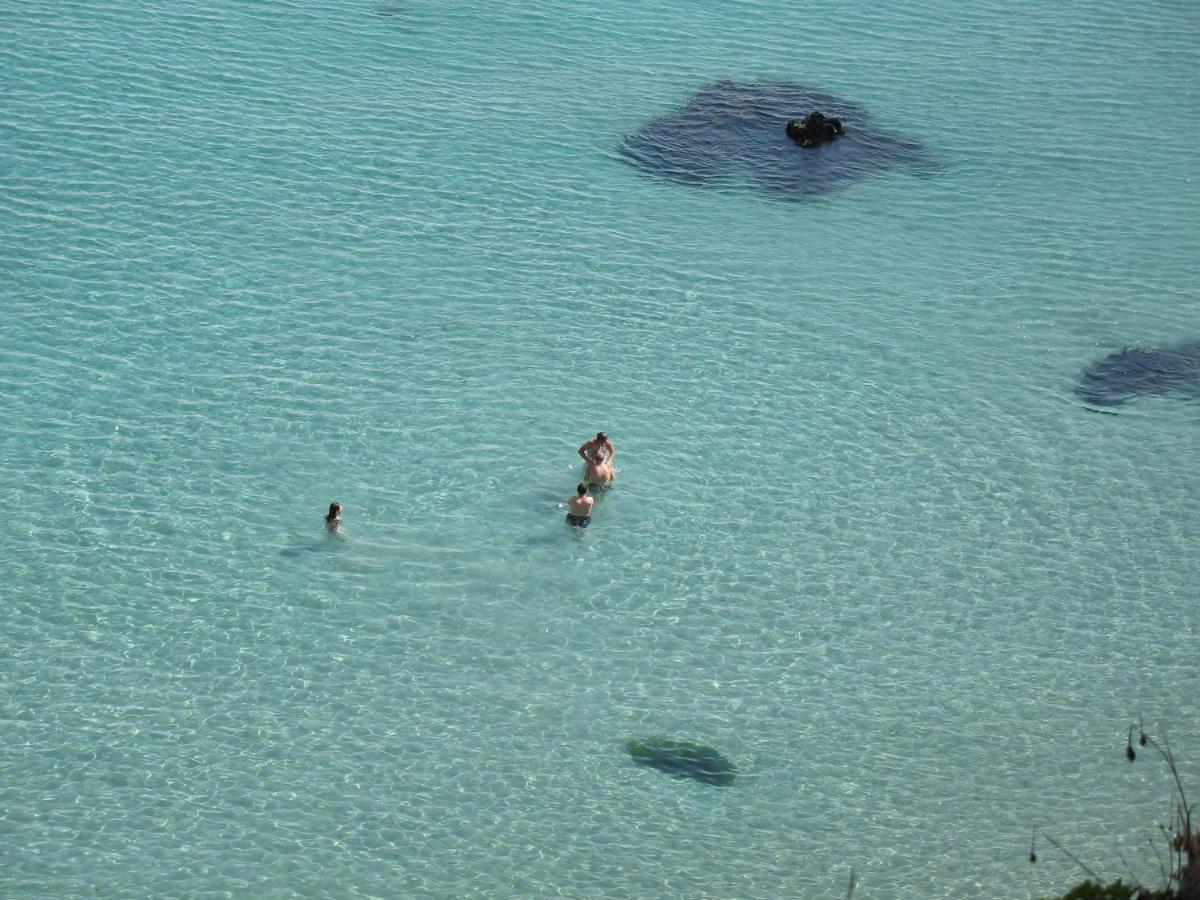 Le Portzic, Appartement Proche Plage De Morgat Crozon Exteriér fotografie